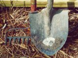Gartenarbeit im Wandel der Zeit