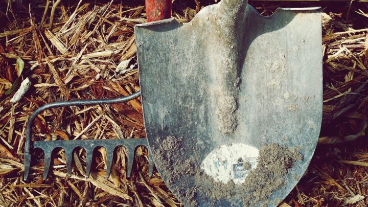 Gartenarbeit im Wandel der Zeit